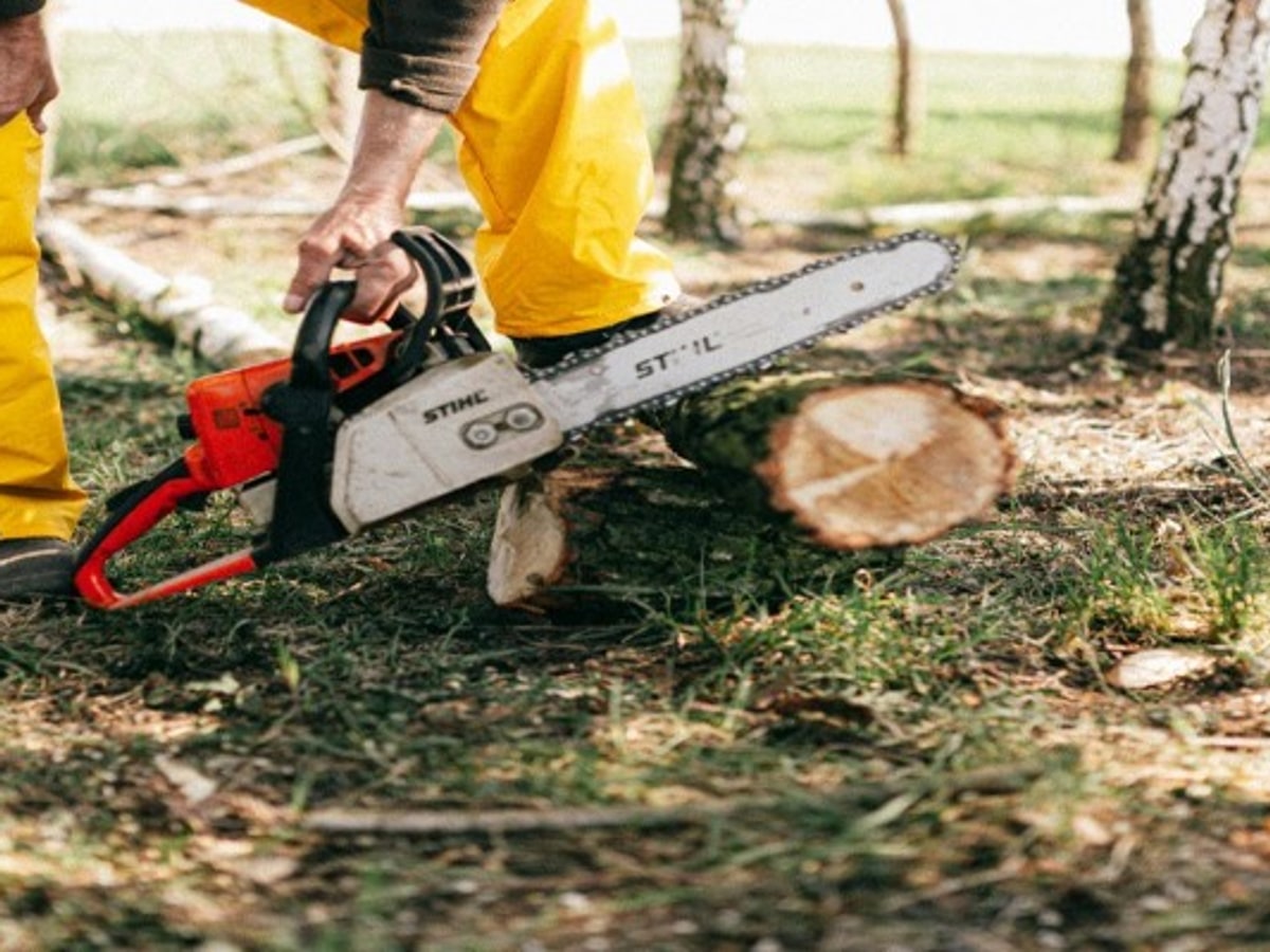 Professional logger cutting wood with chainsaw — Series P full-chisel industrial chain for high-output logging