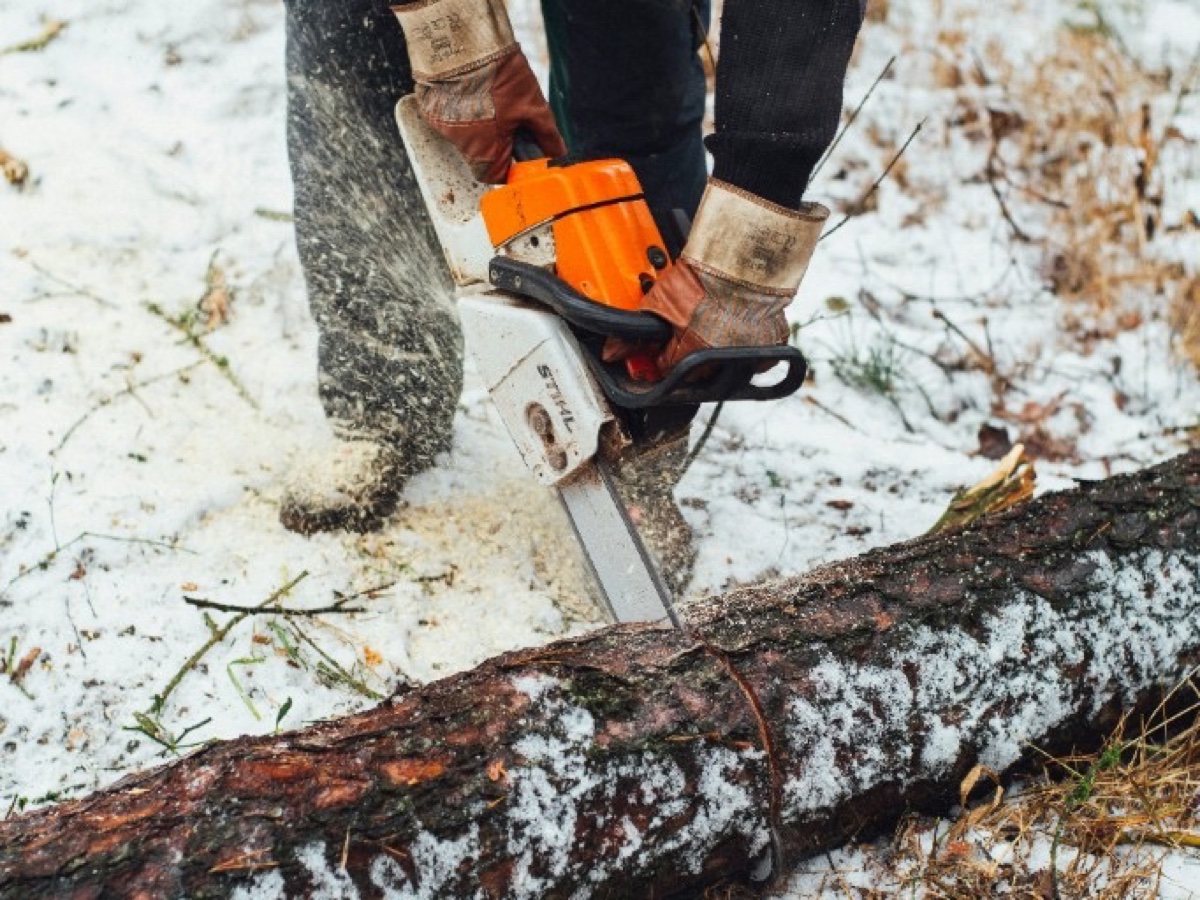 Chainsaw cutting log in snow — Series W cold-weather chain for winter logging and sub-zero conditions